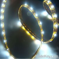 Flexible LED Strips