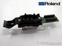 Roland Printhead (DX 4)