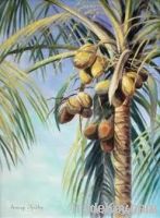 Palm Coconuts