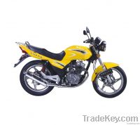 Motor Bike (125cc)