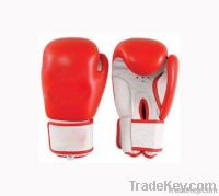 BOXING & Thai BOXING GLOVES 1