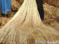 Raw Jute Fibre