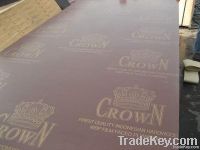 Brown film faced plywood