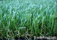 landcaping grass