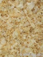 Wood Shavings