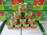 70g canned tomato paste ketchup sauce factory