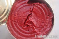 https://jp.tradekey.com/product_view/198g-Canned-Tomato-Paste-Ketchup-Sauce-Factory-5454604.html