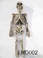 Halloween Horror Skeleton Hanging Props