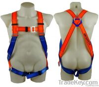 Safety Harness