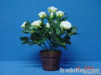 Artificial White Rose