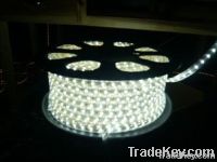 LED flexible strip light 5050 white color