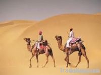 Rajasthan Tour India