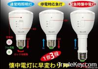 re: rechargeable LED emergency lighting