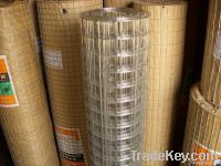 Welded Wire Mesh(Professional Manufacturer)