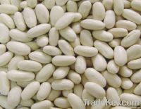 Kidney Beans