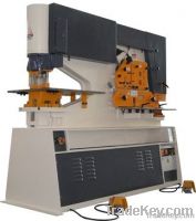 Hydraulic Combined Punching & Shearing Machine (RMI Series)