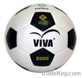VIVA "2000 Goal"