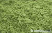 green tea powder
