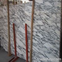 High Quality Marble Big Slab of Fast Delivery