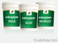 https://es.tradekey.com/product_view/Acai-Powder-1873985.html