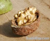 Walnut Kernels | Dried Fruits | Walnut Suppliers | Walnut Exporters | Walnut Manufacturers | Cheap Walnut | Wholesale Walnut | Discounted Walnut | Bulk Walnut | Walnut Buyer | Import Walnut |