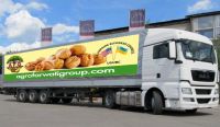 Walnuts of Ukraine Agrofarwati Group