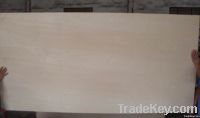 White Birch Plywood