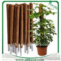 https://jp.tradekey.com/product_view/Coco-Poles-Plant-Support-1862317.html