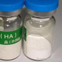 hyaluronic acid powder sodium hyaluronate HA