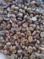 Unwashed Arabica green coffee beans