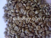 Da Lat washed Arabica green coffee beans