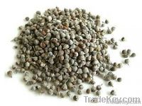 Chaste berry Extract Powder