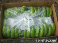 Fresh Green Cavendish Banana