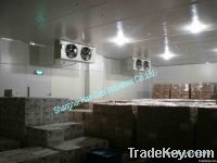 https://www.tradekey.com/product_view/2000mt-Pharmaceutical-Cold-Room-1866908.html