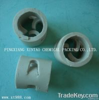 Ceramic pall ring