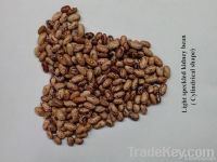 red speckled kidney beans