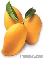 Fresh Mango