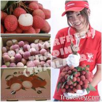 Fresh Lychee