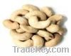cashew nuts kernel