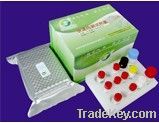 Aflatoxins B1 ELISA test kit