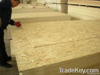Oriented Stand Board (OSB)