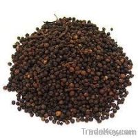 Black Pepper