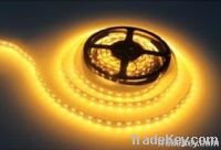 Top Brightness SMD3535 LED strip