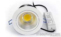 20W COB LED Downlight(180 rotatable)