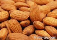 Almond Supplier | Almond Exporter | Almond Manufacturer | Almond Trader | Almond Buyer | Almond Importers | Import Almond | Buy Almond | Wholesale Almond | Low Price Almond | Low Cost Almond   Spanish Shelled Almond   1) Marcona - Queen of almonds 2) Larg