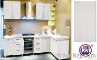 Acrylic kitchen cabinets unit