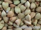 Hulled  Buckwheat kernel/Groats