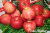 Fresh Fruit-Apple