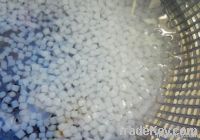 https://www.tradekey.com/product_view/Konjac-Rice-In-Liquid-1883726.html