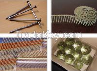 wood iron nails/concrete common nails/cement nails